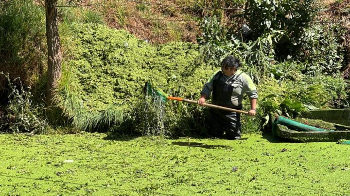 Margarita: limpiadora de canales de Xochimilco