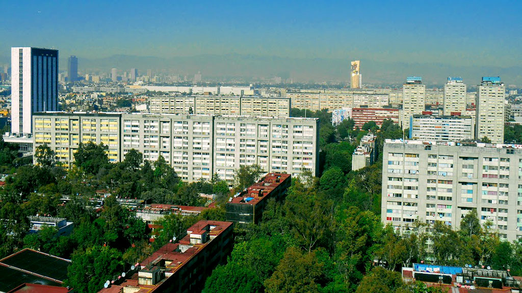 El muérdago, está acabando los árboles de Tlatelolco