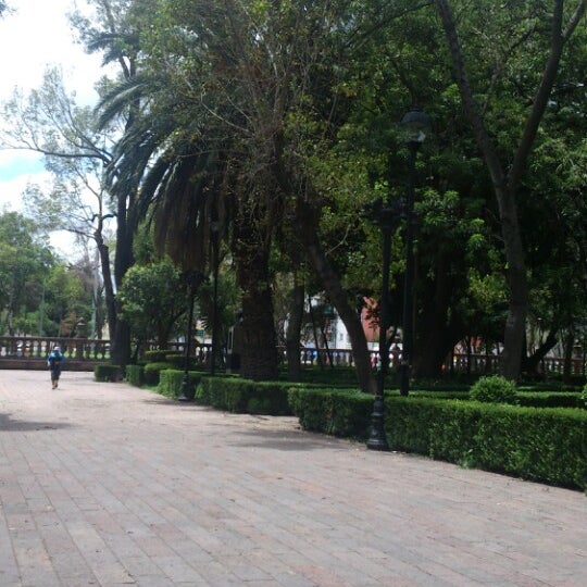 Incendian árbol en el Jardín Santiago Tlatelolco