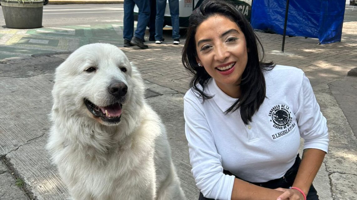 Ana Villagrán para la Cuauhtémoc