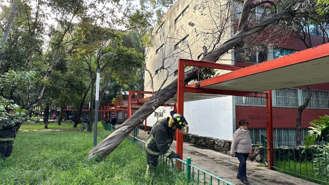 Empezó el árbol hacer ruidos extraños