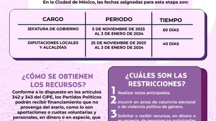 Precampaña para militantes de partidos políticos 