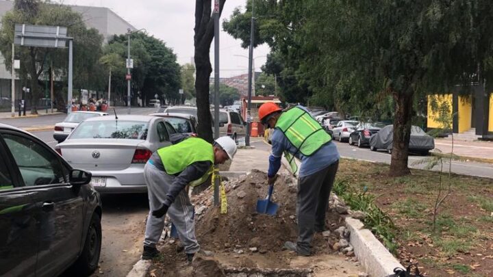 Suspensión de Obra en la Avenida Flores Magón