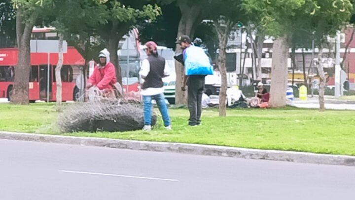 Rapiña en Tlatelolco por Personas en Situación de Calle