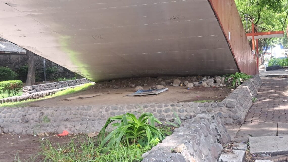 Adiós, Matías López