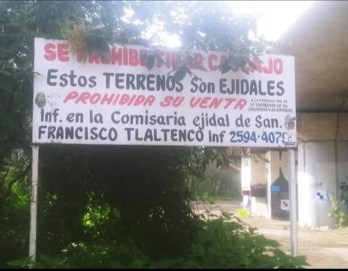 El ecocidio institucional destruye Tlaltenco