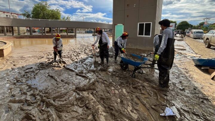 Urge Doxiciclina para atender casos de Leptospirosis en Veracruz