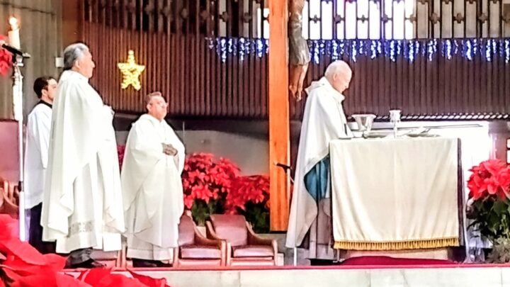 2026: La paz se siembra en familia desde el Tepeyac