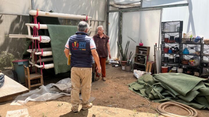 Roban y destruyen el Compostero Tlatelolco