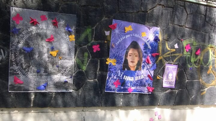 A un año del bote morado