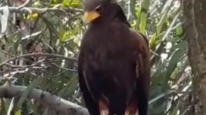 Entre la luz y la vida