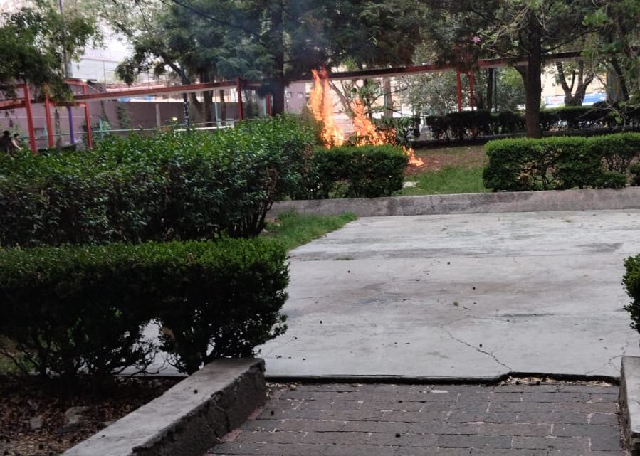 El primer aviso: cuando el humo rompe la rutina