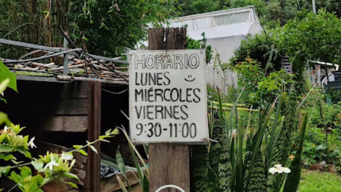 “No tengan miedo de cultivar”: Esperanza Carrillo