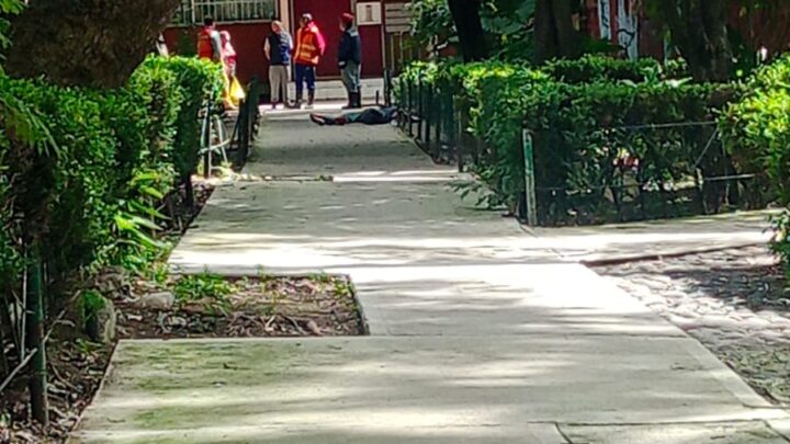 Salió a pasear a su perro y ya no regresó